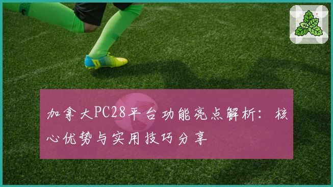 加拿大PC28平台功能亮点解析：核心优势与实用技巧分享