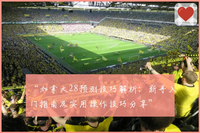 “加拿大28预测技巧解析：新手入门指南及实用操作技巧分享”