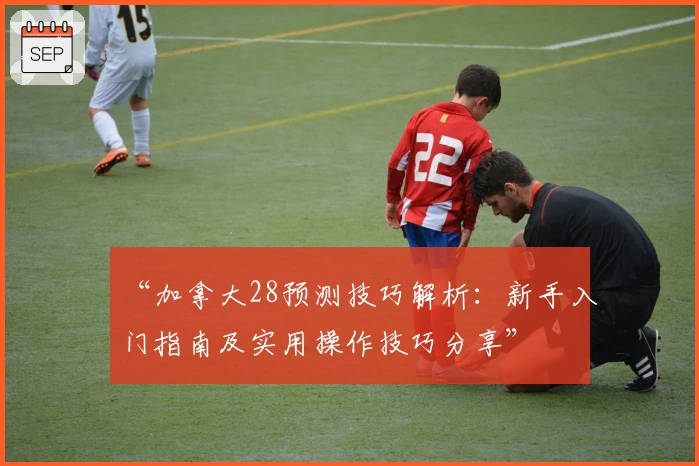 “加拿大28预测技巧解析：新手入门指南及实用操作技巧分享”