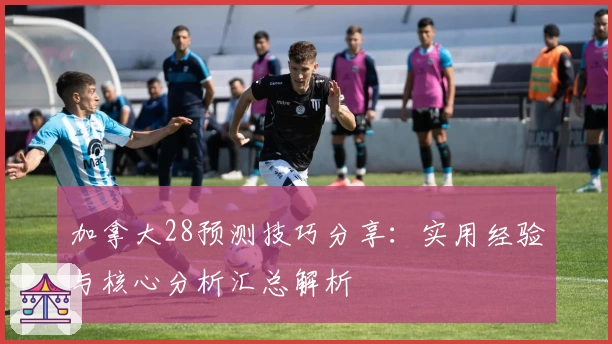 加拿大28预测技巧分享：实用经验与核心分析汇总解析