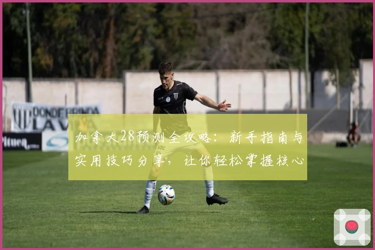 加拿大28预测全攻略：新手指南与实用技巧分享，让你轻松掌握核心数据分析