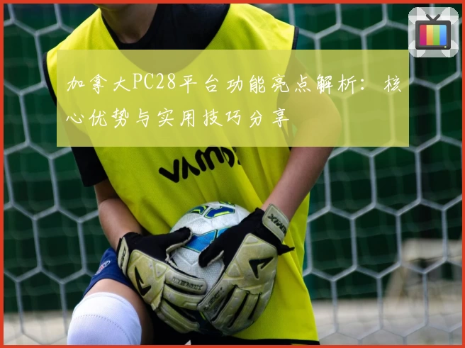 加拿大PC28平台功能亮点解析：核心优势与实用技巧分享