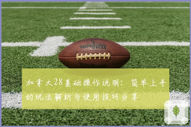 加拿大28基础操作说明:简单上手的玩法解析与使用技巧分享