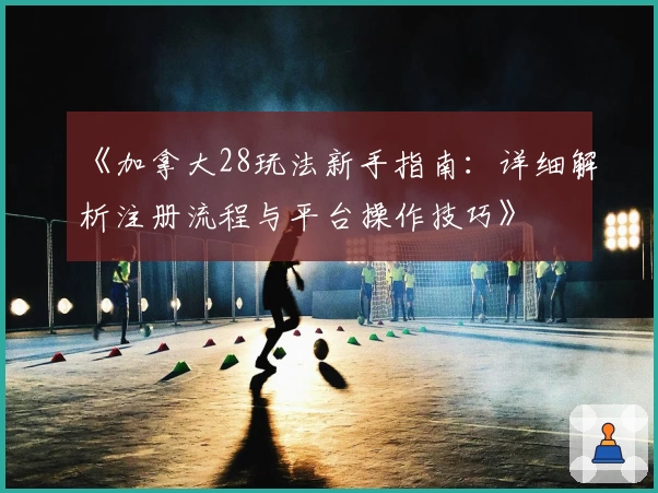《加拿大28玩法新手指南：详细解析注册流程与平台操作技巧》