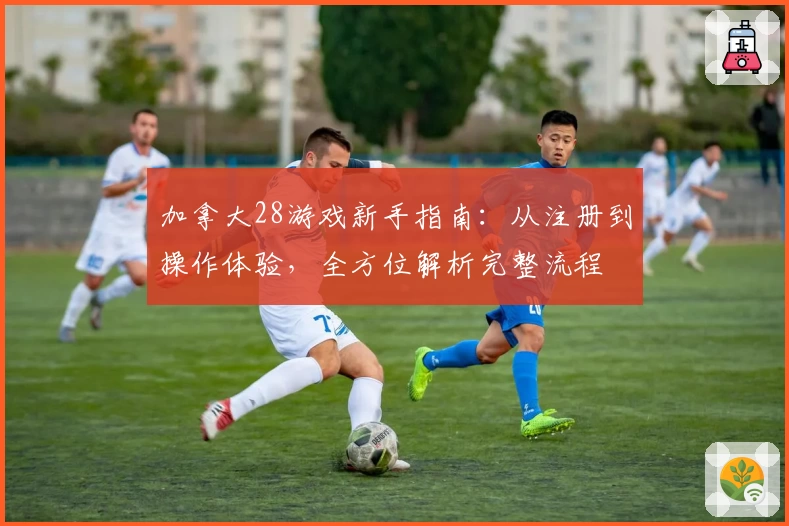 加拿大28游戏新手指南：从注册到操作体验，全方位解析完整流程